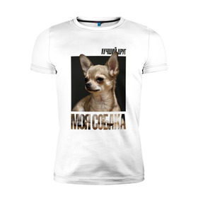 Мужская футболка премиум с принтом Чихуахуа в Тюмени, 92% хлопок, 8% лайкра | приталенный силуэт, круглый вырез ворота, длина до линии бедра, короткий рукав | drug | порода | собака