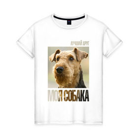 Женская футболка хлопок с принтом Эрдельтерьер в Тюмени, 100% хлопок | прямой крой, круглый вырез горловины, длина до линии бедер, слегка спущенное плечо | Тематика изображения на принте: drug | порода | собака | эрдельтерьер