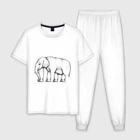 Мужская пижама хлопок с принтом Сколько ног у слона в Тюмени, 100% хлопок | брюки и футболка прямого кроя, без карманов, на брюках мягкая резинка на поясе и по низу штанин
 | слон