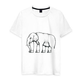 Мужская футболка хлопок с принтом Сколько ног у слона в Тюмени, 100% хлопок | прямой крой, круглый вырез горловины, длина до линии бедер, слегка спущенное плечо. | слон