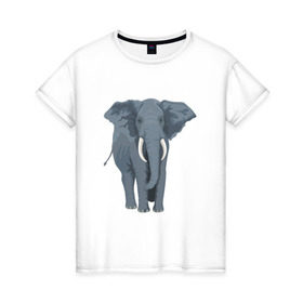 Женская футболка хлопок с принтом Слон в Тюмени, 100% хлопок | прямой крой, круглый вырез горловины, длина до линии бедер, слегка спущенное плечо | 