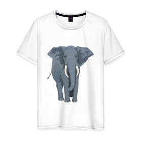 Мужская футболка хлопок с принтом Слон в Тюмени, 100% хлопок | прямой крой, круглый вырез горловины, длина до линии бедер, слегка спущенное плечо. | 