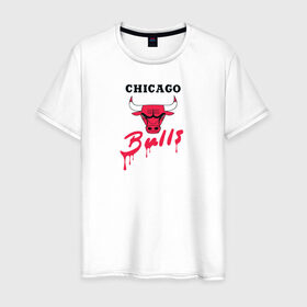 Мужская футболка хлопок с принтом Bulls в Тюмени, 100% хлопок | прямой крой, круглый вырез горловины, длина до линии бедер, слегка спущенное плечо. | chicago bulls | баскетбол