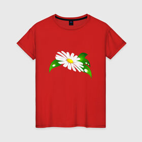 Женская футболка хлопок с принтом Ромашка в Тюмени, 100% хлопок | прямой крой, круглый вырез горловины, длина до линии бедер, слегка спущенное плечо | 