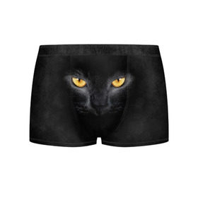 Мужские трусы 3D с принтом Черная кошка в Тюмени, 50% хлопок, 50% полиэстер | классическая посадка, на поясе мягкая тканевая резинка | глаза | киса | кот | котик | кошка | черная кошка