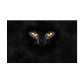Бумага для упаковки 3D с принтом Черная кошка в Тюмени, пластик и полированная сталь | круглая форма, металлическое крепление в виде кольца | глаза | киса | кот | котик | кошка | черная кошка