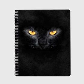 Тетрадь с принтом Черная кошка в Тюмени, 100% бумага | 48 листов, плотность листов — 60 г/м2, плотность картонной обложки — 250 г/м2. Листы скреплены сбоку удобной пружинной спиралью. Уголки страниц и обложки скругленные. Цвет линий — светло-серый
 | глаза | киса | кот | котик | кошка | черная кошка