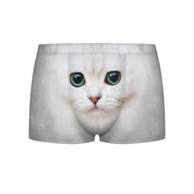 Мужские трусы 3D с принтом Белый котик в Тюмени, 50% хлопок, 50% полиэстер | классическая посадка, на поясе мягкая тканевая резинка | Тематика изображения на принте: белая кошка | киса | кот | котик | кошка