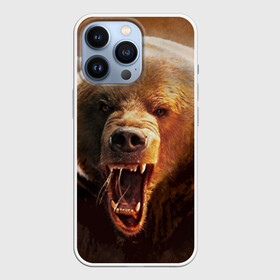 Чехол для iPhone 13 Pro с принтом Медведь в Тюмени,  |  | Тематика изображения на принте: медведь | мишка