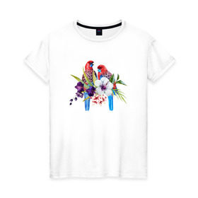 Женская футболка хлопок с принтом Попугаи в Тюмени, 100% хлопок | прямой крой, круглый вырез горловины, длина до линии бедер, слегка спущенное плечо | myparrots | акварель | попугаи | птиц | розелла | цветы