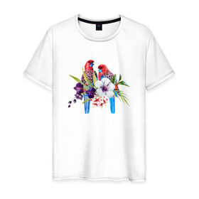 Мужская футболка хлопок с принтом Попугаи в Тюмени, 100% хлопок | прямой крой, круглый вырез горловины, длина до линии бедер, слегка спущенное плечо. | myparrots | акварель | попугаи | птиц | розелла | цветы