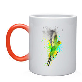 Кружка хамелеон с принтом Волнистый попугай в Тюмени, керамика | меняет цвет при нагревании, емкость 330 мл | myparrots | попугаи | птицы | цветы