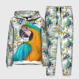 Мужской костюм 3D (с толстовкой) с принтом Попугаи в Тюмени,  |  | myparrots | parrot | ара | листья | орнамент | попугаи | птицы | рай | синежелтый | тукан | узор | цветы