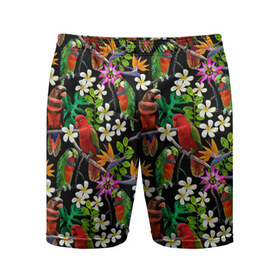 Мужские шорты 3D спортивные с принтом Попугаи в Тюмени,  |  | myparrots | parrotузор | листья | орнамент | попугаи | птицы | рай | цветы
