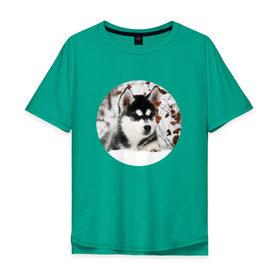 Мужская футболка хлопок Oversize с принтом Щенок хаски в Тюмени, 100% хлопок | свободный крой, круглый ворот, “спинка” длиннее передней части | Тематика изображения на принте: dog | husky | собака | хаски | щенок
