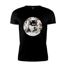 Мужская футболка премиум с принтом Щенок хаски в Тюмени, 92% хлопок, 8% лайкра | приталенный силуэт, круглый вырез ворота, длина до линии бедра, короткий рукав | Тематика изображения на принте: dog | husky | собака | хаски | щенок