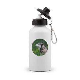 Бутылка спортивная с принтом Хаски в Тюмени, металл | емкость — 500 мл, в комплекте две пластиковые крышки и карабин для крепления | Тематика изображения на принте: dog | husky | собака | хаски | щенок