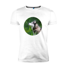 Мужская футболка премиум с принтом Хаски в Тюмени, 92% хлопок, 8% лайкра | приталенный силуэт, круглый вырез ворота, длина до линии бедра, короткий рукав | dog | husky | собака | хаски | щенок