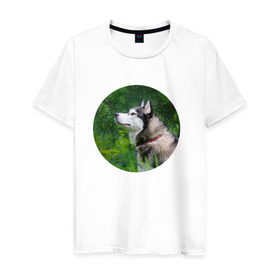 Мужская футболка хлопок с принтом Хаски в Тюмени, 100% хлопок | прямой крой, круглый вырез горловины, длина до линии бедер, слегка спущенное плечо. | Тематика изображения на принте: dog | husky | собака | хаски | щенок