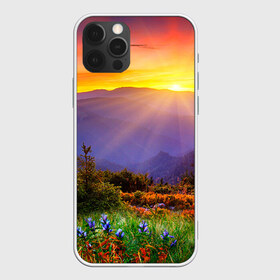 Чехол для iPhone 12 Pro Max с принтом Природа в Тюмени, Силикон |  | горы | закат | облака | пейзаж