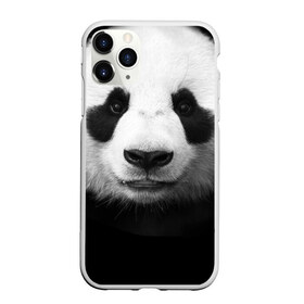 Чехол для iPhone 11 Pro матовый с принтом Панда в Тюмени, Силикон |  | панда