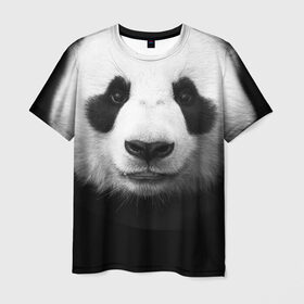 Мужская футболка 3D с принтом Панда в Тюмени, 100% полиэфир | прямой крой, круглый вырез горловины, длина до линии бедер | панда
