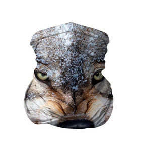 Бандана-труба 3D с принтом Волк в Тюмени, 100% полиэстер, ткань с особыми свойствами — Activecool | плотность 150‒180 г/м2; хорошо тянется, но сохраняет форму | волк | животные | злой волк | зубы | оскал