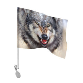 Флаг для автомобиля с принтом Волк в Тюмени, 100% полиэстер | Размер: 30*21 см | волк | животные | злой волк | зубы | оскал