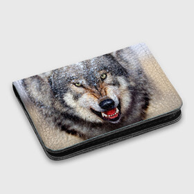 Картхолдер с принтом с принтом Волк в Тюмени, натуральная матовая кожа | размер 7,3 х 10 см; кардхолдер имеет 4 кармана для карт; | Тематика изображения на принте: волк | животные | злой волк | зубы | оскал