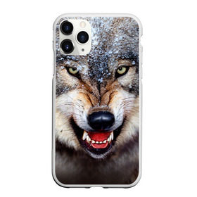 Чехол для iPhone 11 Pro матовый с принтом Волк в Тюмени, Силикон |  | волк | животные | злой волк | зубы | оскал