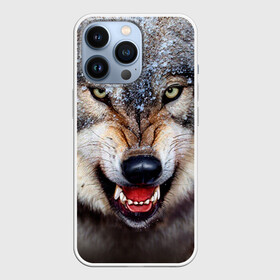 Чехол для iPhone 13 Pro с принтом Волк в Тюмени,  |  | волк | животные | злой волк | зубы | оскал