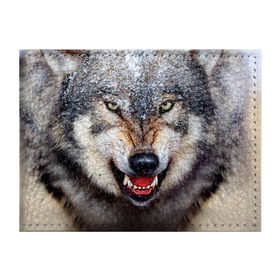 Обложка для студенческого билета с принтом Волк в Тюмени, натуральная кожа | Размер: 11*8 см; Печать на всей внешней стороне | волк | животные | злой волк | зубы | оскал