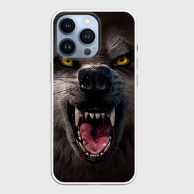 Чехол для iPhone 13 Pro с принтом Злой волк в Тюмени,  |  | волк | животные | злой волк | зубы | оскал