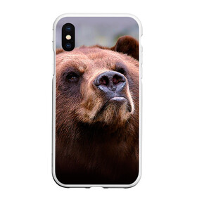 Чехол для iPhone XS Max матовый с принтом Медведь в Тюмени, Силикон | Область печати: задняя сторона чехла, без боковых панелей | бурый | гризли | животные | медведь | мишка