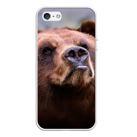 Чехол для Apple iPhone 5/5S силиконовый с принтом Медведь в Тюмени, Силикон | Область печати: задняя сторона чехла, без боковых панелей | бурый | гризли | животные | медведь | мишка