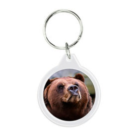 Брелок круглый с принтом Медведь в Тюмени, пластик и полированная сталь | круглая форма, металлическое крепление в виде кольца | бурый | гризли | животные | медведь | мишка