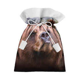 Подарочный 3D мешок с принтом Медведь в Тюмени, 100% полиэстер | Размер: 29*39 см | Тематика изображения на принте: бурый | гризли | животные | медведь | мишка