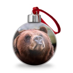 Ёлочный шар с принтом Медведь в Тюмени, Пластик | Диаметр: 77 мм | Тематика изображения на принте: бурый | гризли | животные | медведь | мишка