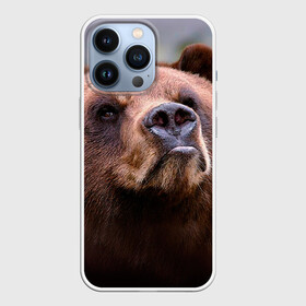 Чехол для iPhone 13 Pro с принтом Медведь в Тюмени,  |  | бурый | гризли | животные | медведь | мишка
