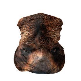 Бандана-труба 3D с принтом Медведь в Тюмени, 100% полиэстер, ткань с особыми свойствами — Activecool | плотность 150‒180 г/м2; хорошо тянется, но сохраняет форму | бурый | гризли | животные | медведь | мишка