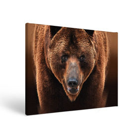 Холст прямоугольный с принтом Медведь в Тюмени, 100% ПВХ |  | Тематика изображения на принте: бурый | гризли | животные | медведь | мишка