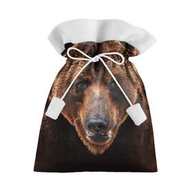 Подарочный 3D мешок с принтом Медведь в Тюмени, 100% полиэстер | Размер: 29*39 см | бурый | гризли | животные | медведь | мишка