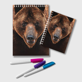 Блокнот с принтом Медведь в Тюмени, 100% бумага | 48 листов, плотность листов — 60 г/м2, плотность картонной обложки — 250 г/м2. Листы скреплены удобной пружинной спиралью. Цвет линий — светло-серый
 | бурый | гризли | животные | медведь | мишка