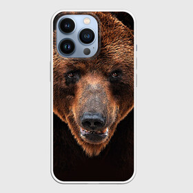 Чехол для iPhone 13 Pro с принтом Медведь в Тюмени,  |  | бурый | гризли | животные | медведь | мишка