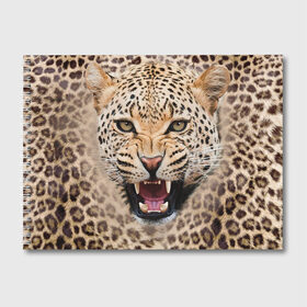 Альбом для рисования с принтом Леопард в Тюмени, 100% бумага
 | матовая бумага, плотность 200 мг. | животные | зубы | киса | киска | кошка | леопард | оскал