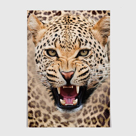 Постер с принтом Леопард в Тюмени, 100% бумага
 | бумага, плотность 150 мг. Матовая, но за счет высокого коэффициента гладкости имеет небольшой блеск и дает на свету блики, но в отличии от глянцевой бумаги не покрыта лаком | животные | зубы | киса | киска | кошка | леопард | оскал