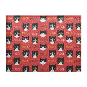 Обложка для студенческого билета с принтом Meow в Тюмени, натуральная кожа | Размер: 11*8 см; Печать на всей внешней стороне | cat | hipster | meow | style | кот | котики | кошка | хипстер | хипстеры
