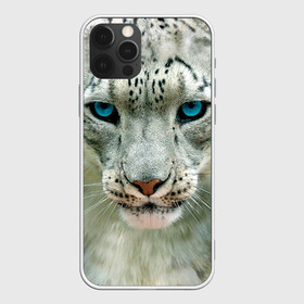 Чехол для iPhone 12 Pro с принтом Снежный барс в Тюмени, силикон | область печати: задняя сторона чехла, без боковых панелей | барс | животные | кошка | снежный барс