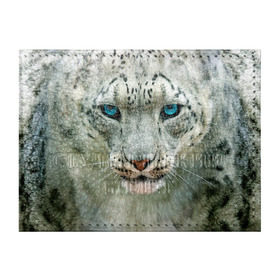 Обложка для студенческого билета с принтом Снежный барс в Тюмени, натуральная кожа | Размер: 11*8 см; Печать на всей внешней стороне | Тематика изображения на принте: барс | животные | кошка | снежный барс