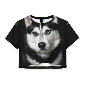 Женская футболка 3D укороченная с принтом Хаски в Тюмени, 100% полиэстер | круглая горловина, длина футболки до линии талии, рукава с отворотами | животные | собака | хаски